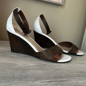 Buckle snake wedges